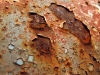 Filename=54-Jesenice-246-W2.jpg
Filesize=175KiB
Dimensions=800x600
Date added=Nov 14, 2005 54-Jesenice-246-W2.jpg