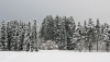 Filename=A03-Arboretum-015.jpg
Filesize=150KiB
Dimensions=800x456
Date added=Jan 15, 2006 A03-Arboretum-015.jpg
