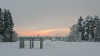 Filename=A15-Arboretum-085NI.jpg
Filesize=113KiB
Dimensions=800x455
Date added=Jan 15, 2006 A15-Arboretum-085NI.jpg