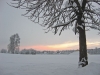 Filename=A16-Arboretum-095NI.jpg
Filesize=131KiB
Dimensions=800x600
Date added=Jan 15, 2006 A16-Arboretum-095NI.jpg