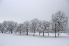 Filename=A17-Arboretum-101NI.jpg
Filesize=123KiB
Dimensions=800x534
Date added=Jan 15, 2006 A17-Arboretum-101NI.jpg