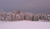 Filename=A24-Arboretum-137NI.jpg
Filesize=136KiB
Dimensions=800x473
Date added=Jan 15, 2006 A24-Arboretum-137NI.jpg