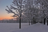 Filename=A28-Arboretum-144.jpg
Filesize=167KiB
Dimensions=800x534
Date added=Jan 15, 2006 A28-Arboretum-144.jpg