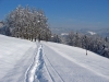 Filename=H05-Dolenjska-016.jpg
Filesize=165KiB
Dimensions=800x600
Date added=Jan 15, 2006 H05-Dolenjska-016.jpg