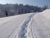 Filename=H06-Dolenjska-019.jpg
Filesize=167KiB
Dimensions=800x600
Date added=Jan 15, 2006 H06-Dolenjska-019.jpg