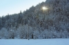 Filename=H09-Dolenjska-044-2.jpg
Filesize=174KiB
Dimensions=800x533
Date added=Jan 15, 2006 H09-Dolenjska-044-2.jpg