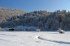 Filename=H10-Dolenjska-046.jpg
Filesize=187KiB
Dimensions=800x533
Date added=Jan 15, 2006 H10-Dolenjska-046.jpg