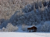 Filename=H11-Dolenjska-049.jpg
Filesize=185KiB
Dimensions=800x600
Date added=Jan 15, 2006 H11-Dolenjska-049.jpg