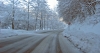Filename=H12-Dolenjska-050.jpg
Filesize=135KiB
Dimensions=800x430
Date added=Jan 15, 2006 H12-Dolenjska-050.jpg