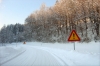 Filename=H15-Dolenjska-066.jpg
Filesize=167KiB
Dimensions=800x533
Date added=Jan 15, 2006 H15-Dolenjska-066.jpg