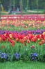 A020-Arboretum-068.jpg