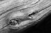 Filename=K25-Kosuta-187bw.jpg
Filesize=183KiB
Dimensions=800x533
Date added=Jan 21, 2007 K25-Kosuta-187bw.jpg