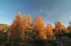 Filename=D10-DebelaPec-025.jpg
Filesize=163KiB
Dimensions=800x533
Date added=Feb 25, 2007 D10-DebelaPec-025.jpg