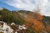 Filename=D27-DebelaPec-152.jpg
Filesize=163KiB
Dimensions=800x533
Date added=Feb 25, 2007 D27-DebelaPec-152.jpg