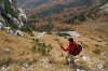 Filename=D35-DebelaPec-209.jpg
Filesize=179KiB
Dimensions=800x533
Date added=Feb 25, 2007 D35-DebelaPec-209.jpg
