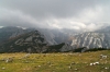 Filename=D42-DebelaPec-258.jpg
Filesize=147KiB
Dimensions=800x533
Date added=Feb 25, 2007 D42-DebelaPec-258.jpg