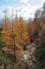 Filename=D44-DebelaPec-283.jpg
Filesize=158KiB
Dimensions=480x720
Date added=Feb 25, 2007 D44-DebelaPec-283.jpg