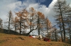 Filename=D46-DebelaPec-298.jpg
Filesize=191KiB
Dimensions=800x533
Date added=Feb 25, 2007 D46-DebelaPec-298.jpg
