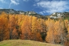 Filename=D47-DebelaPec-310.jpg
Filesize=183KiB
Dimensions=800x533
Date added=Feb 25, 2007 D47-DebelaPec-310.jpg