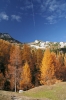 Filename=D49-DebelaPec-329.jpg
Filesize=154KiB
Dimensions=480x720
Date added=Feb 25, 2007 D49-DebelaPec-329.jpg