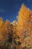 Filename=D50-DebelaPec-343.jpg
Filesize=157KiB
Dimensions=480x720
Date added=Feb 25, 2007 D50-DebelaPec-343.jpg