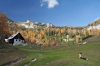 Filename=D54-DebelaPec-367.jpg
Filesize=165KiB
Dimensions=800x533
Date added=Feb 25, 2007 D54-DebelaPec-367.jpg