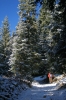 Filename=G16-4PlJezero-017.jpg
Filesize=210KiB
Dimensions=480x720
Date added=Nov 29, 2006 G16-4PlJezero-017.jpg