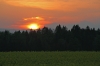 P13-polja-155.jpg