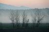 Filename=S06-sunrise-013.jpg
Filesize=129KiB
Dimensions=800x533
Date added=May 03, 2007 S06-sunrise-013.jpg