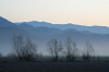 Filename=S07-sunrise-014.jpg
Filesize=108KiB
Dimensions=800x533
Date added=May 03, 2007 S07-sunrise-014.jpg