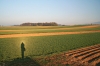 S30-sunrise-143.jpg