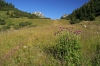 Filename=K22-Komna-205.jpg
Filesize=219KiB
Dimensions=800x533
Date added=Jul 22, 2007 K22-Komna-205.jpg