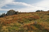 Filename=K03-Kasna-034.jpg
Filesize=176KiB
Dimensions=800x533
Date added=Sep 24, 2007 K03-Kasna-034.jpg
