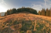 Filename=K32-Kasna-223.jpg
Filesize=182KiB
Dimensions=800x533
Date added=Sep 24, 2007 K32-Kasna-223.jpg