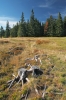Filename=R02-Rogla-025.jpg
Filesize=201KiB
Dimensions=480x720
Date added=Sep 30, 2007 R02-Rogla-025.jpg