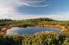 Filename=R14-Rogla-100.jpg
Filesize=177KiB
Dimensions=800x533
Date added=Sep 30, 2007 R14-Rogla-100.jpg