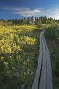 Filename=R17-Rogla-127.jpg
Filesize=165KiB
Dimensions=480x720
Date added=Sep 30, 2007 R17-Rogla-127.jpg