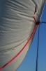 Filename=J40-Barcolana-312.jpg
Filesize=99KiB
Dimensions=480x720
Date added=Oct 22, 2007 J40-Barcolana-312.jpg