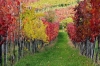 Filename=K02-Kras-003.jpg
Filesize=227KiB
Dimensions=800x533
Date added=Nov 11, 2007 K02-Kras-003.jpg