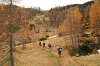 Filename=V02-Visevnik-008.jpg
Filesize=194KiB
Dimensions=800x533
Date added=Nov 25, 2007 V02-Visevnik-008.jpg