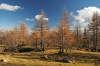 Filename=V37-Visevnik-242.jpg
Filesize=207KiB
Dimensions=800x533
Date added=Nov 25, 2007 V37-Visevnik-242.jpg