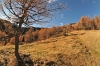 Filename=V39-Visevnik-260.jpg
Filesize=208KiB
Dimensions=800x533
Date added=Nov 25, 2007 V39-Visevnik-260.jpg