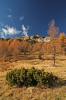 Filename=V40-Visevnik-276.jpg
Filesize=183KiB
Dimensions=480x720
Date added=Nov 25, 2007 V40-Visevnik-276.jpg