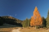 Filename=V44-Visevnik-318.jpg
Filesize=144KiB
Dimensions=800x533
Date added=Nov 25, 2007 V44-Visevnik-318.jpg