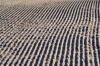 Filename=P01-VelPlan-006.jpg
Filesize=174KiB
Dimensions=800x533
Date added=May 19, 2008 P01-VelPlan-006.jpg
