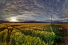 F12-fields-129-HDR.jpg