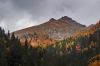 Filename=M15-MoelltalO-47.jpg
Filesize=148KiB
Dimensions=800x533
Date added=Oct 16, 2008 M15-MoelltalO-47.jpg