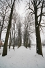 Filename=M09-Menges-22.jpg
Filesize=195KiB
Dimensions=480x720
Date added=Feb 03, 2009 M09-Menges-22.jpg