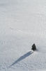Filename=V52-VelPlan-353.jpg
Filesize=126KiB
Dimensions=480x720
Date added=Feb 18, 2009 V52-VelPlan-353.jpg