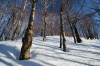 G03-MaliGolak-017.jpg